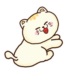 Cute cat