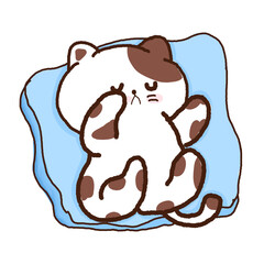 Cute cat