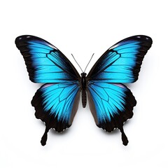 top view of blue butterfly , isolated on white background, generative AI