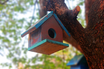 Birdhouse hanging on a tree. Nesting box hanging on the tree. Birdhouse. Natural conservation and caring for animals.