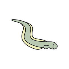 Cute Sea Eel