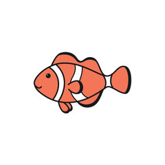 Cute Nemo Fish