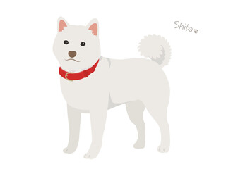 柴犬_白毛_ベクターイラスト