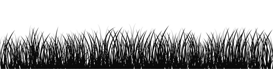 Naklejka premium Grass silhouette