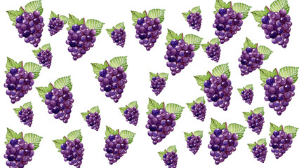 set of Grape slices patten design seamless pattern white beground for banner, sticker, print, background, and  more