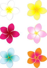 Colorful Frangipani Flowers Set 1. Isolated design elements objects with a 1-point border object which can be removed if desired.