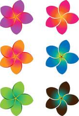 Colorful Frangipani Flowers Set 2. Isolated design elements objects with a 1-point border object which can be removed if desired.