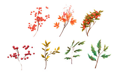 set vector illustration autumn bouquet elements isolated on white background