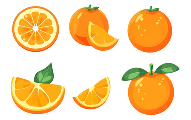 set vector illustration of ripe orange isolated on white background