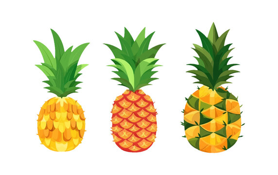 set vector illustration of ripe pineapple isolated on white background