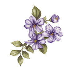 illustration watercolor flower