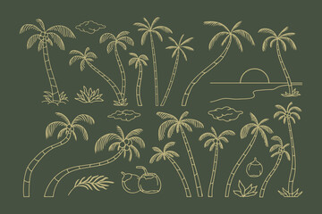 Tropical Summer Coconut Trees