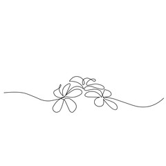 One Line Drawing Flower 