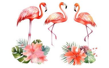 watercolor set illustration of pink flamingo among tropical flowers isolated on white background