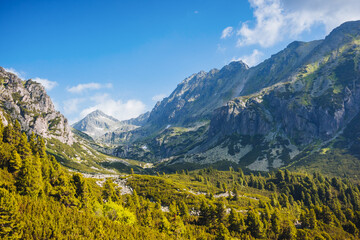 A splendid green alpine valley surrounded by rocky mountains. National Park High Tatra, Slovakia, Europe. - obrazy, fototapety, plakaty