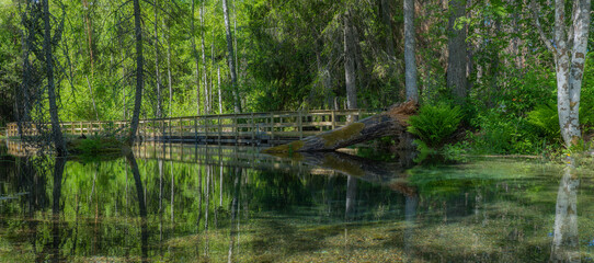 Beautiful turquoise natural spring water in Ingbo natural park in north of Sweden.