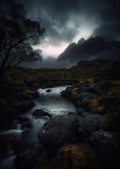 Obraz premium Calm green forest