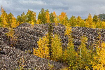 Industrial landscape formed by gold mining operations in the vicinity of Dawson City, Canada; piles...