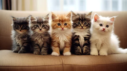 Fotobehang Five adorable colorful  kittens on the couch © tashechka