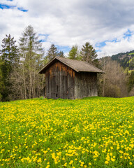 Perca Village view at South Tyrol in Italy