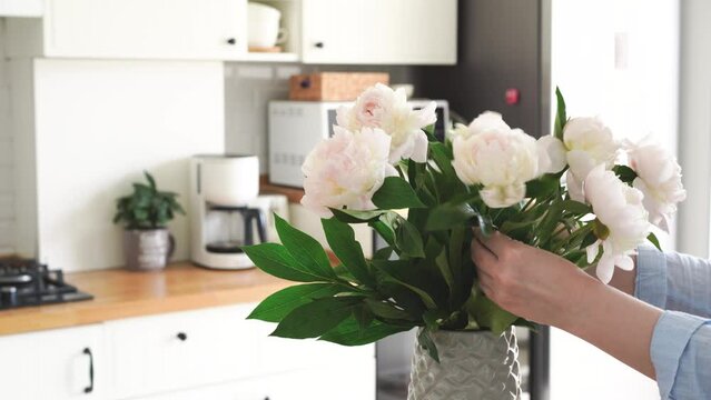 Woman put the flowers of white peonies in a vase on kitchen table and corrects the bouquet. High quality 4k footage