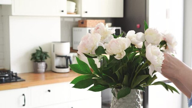 Woman arrange peonies in vase on the kitchen table. Housewife doing chores around the house, creating a cozy home. High quality 4k footage