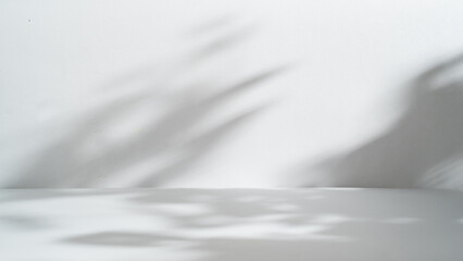 Abstract gray studio background for product presentation, copy space