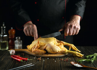 A professional chef tries to cut a raw chicken with a knife on a kitchen cutting board. Cooking cockerel with fragrant spices and rosemary for lunch © Віталій Б.