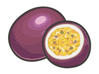 パッションフルーツのイラスト