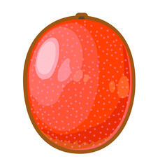 マンゴーのイラスト