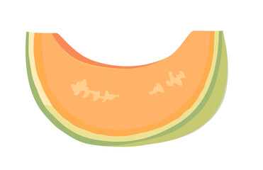 カットしたメロンのイラスト