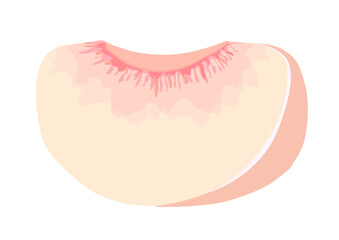 カットした桃のイラスト
