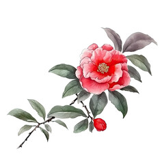 Traditional ink painting style camellia flower, Beautiful red blossom, summer flowers.  © ShiaoHuai