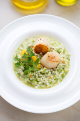 Close-up of pea risotto with pan seared scallops served in a white plate, vertical shot, selective focus