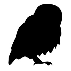 Owl Silhouette Vector