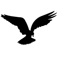Eagle Silhouette Vector