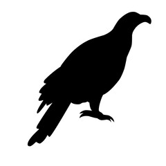 Eagle Silhouette Vector