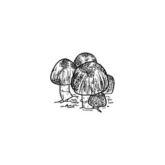 Hand drawn doodle mushroom icon