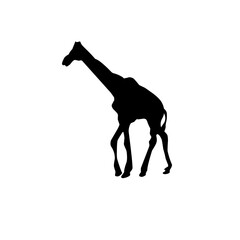 Vector Long Neck Giraffe Silhouette