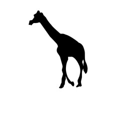Vector Long Neck Giraffe Silhouette