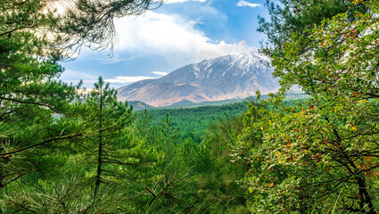 scenic landscape of green pine tree confierous forest to amazing white snow mountains with beautiful blue cloudy sky on background, national park view