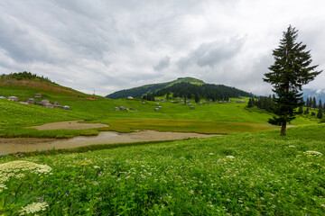 Fototapeta premium Located in the province of Giresun, Gölyanı Plateau has a lake offering an authentic view with its wooden houses.
