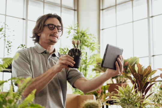 Man in eyeglasses with digital tablet selling garden tree online at glass house, Retirement lifestyle hobby concept