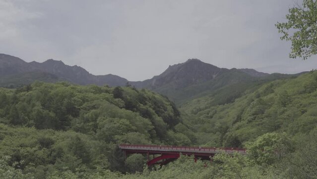 Group of tourists enjoying the view of a famous red bridge in a valley in japan. Spring green landscape. S-Log, 8-bit, 24FPS-100M. 