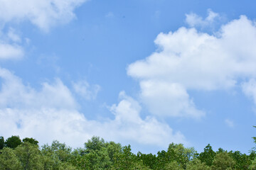 Cloudy blue sky abstract background, blue sky background with tiny clouds. Sunny blue sky with soft clouds and bright sun against green trees foreground. 