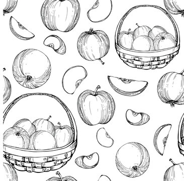 Hand drawn ink apple fruits in basket, ripe, full and slices monochrome vector, detailed outline. Seamless pattern. Isolated on white background. Design for wall art, wedding, print, fabric, card.