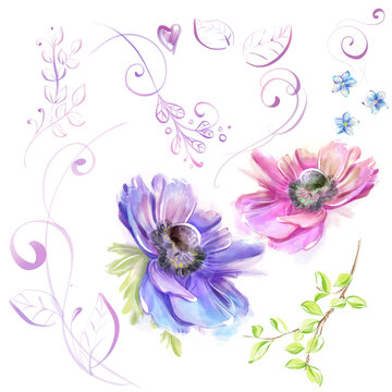 A set of illustrations in a watercolor style: anemones, decorative pattern, elements, doodle, pink swirls, leaves to create a design. Romantic spring clipart