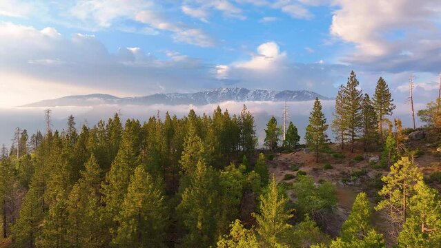 King's Canyon and Sequoia National Park: An Aerial Drone Journey