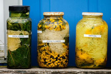 Wool soaking in glass jars during the dyeing process using natural dyes