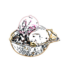 color sketch of ice cream with transparent background
